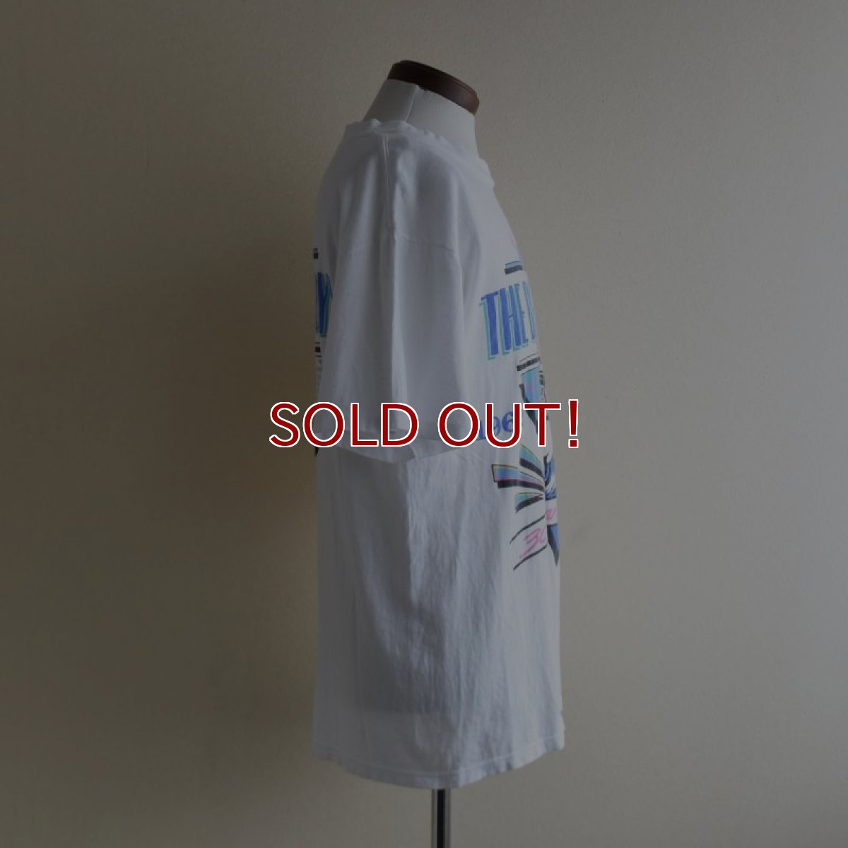 画像2: 1990s THE BEACH BOYS 30TH ANNIVERSARY TOUR Tシャツ　 "MADE IN USA"　 表記L  (2)