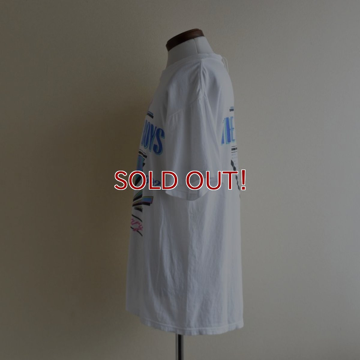 画像4: 1990s THE BEACH BOYS 30TH ANNIVERSARY TOUR Tシャツ　 "MADE IN USA"　 表記L  (4)