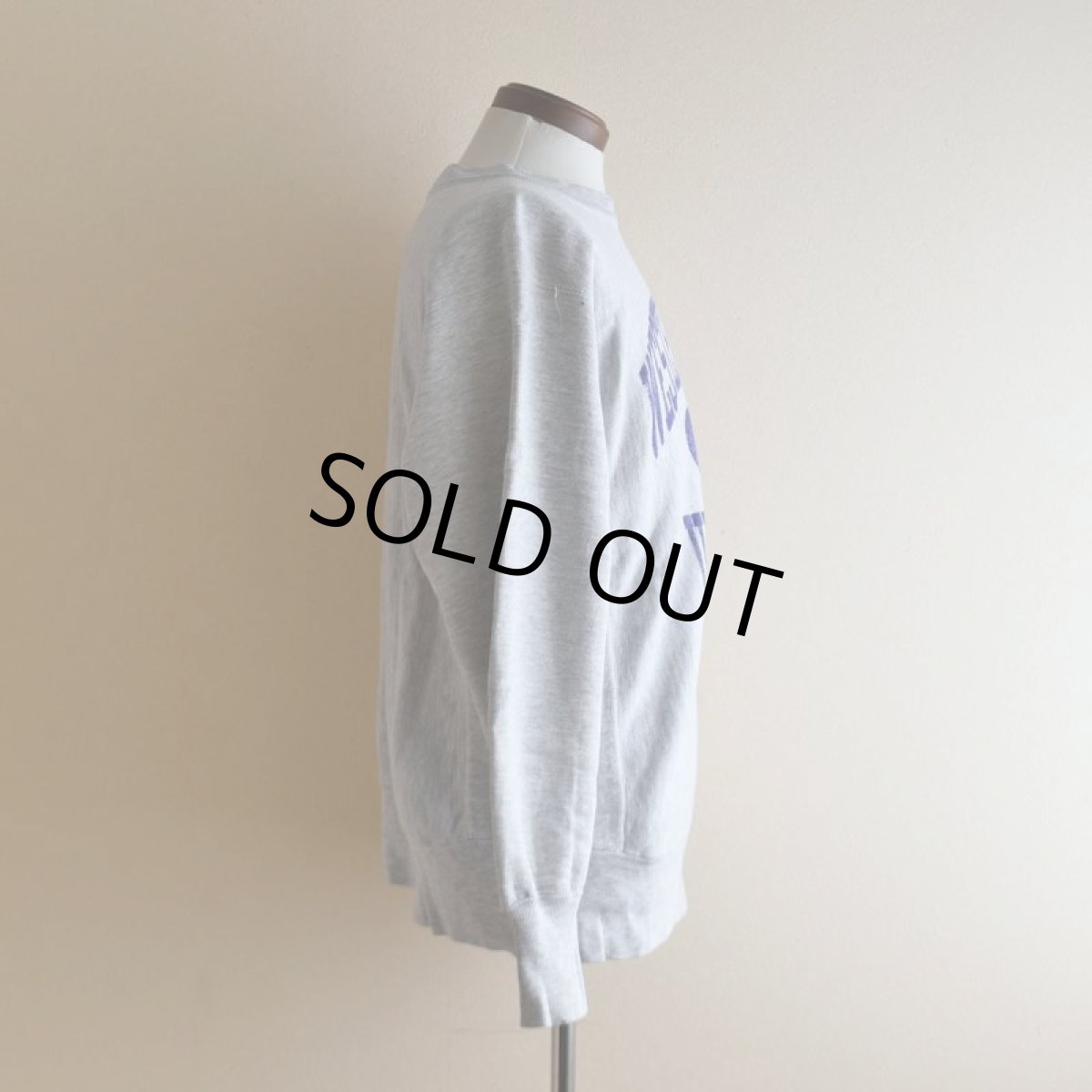 画像2: 1980s Champion リバースウィーブスウェット　 "WESTERN ILLINOIS UNIVERSITY"　 表記M  (2)