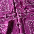 画像3: 1960-70s FAST COLOR クッキー柄バンダナ　<br>"RN13960/MADE IN USA"<br> (3)
