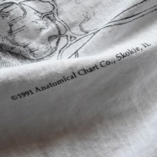 画像7: 1990s ANATOMICAL CHART Co. 人体解剖図スケルトンTシャツ(Tワンピ)　 "MADE IN USA"　 表記XL  (7)