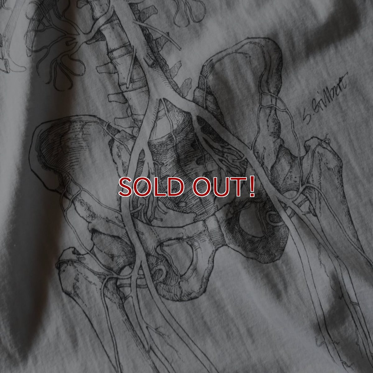 画像5: 1990s ANATOMICAL CHART Co. 人体解剖図スケルトンTシャツ(Tワンピ)　 "MADE IN USA"　 表記XL  (5)