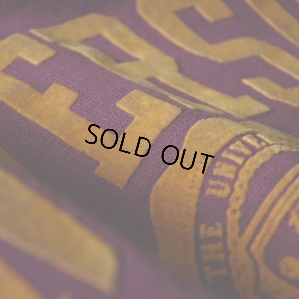 画像5: 1980s Champion フロッキースウェットパーカー  "MADE IN USA"  表記L