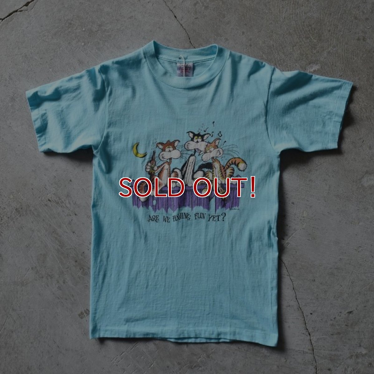 画像1: 1980s ARE WE HAVING FUN YET？ ねごTシャツ　 "MADE IN USA"　 表記M  (1)