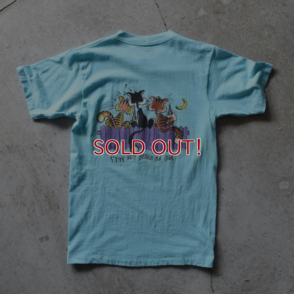 画像2: 1980s ARE WE HAVING FUN YET？ ねごTシャツ　 "MADE IN USA"　 表記M  (2)