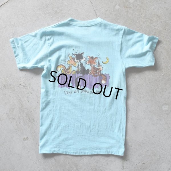 画像2: 1980s ARE WE HAVING FUN YET？ ねごTシャツ　 "MADE IN USA"　 表記M 
