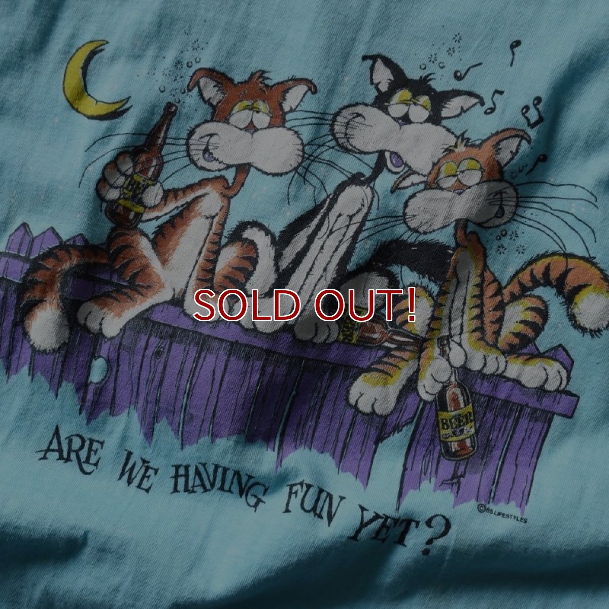 画像4: 1980s ARE WE HAVING FUN YET？ ねごTシャツ　 "MADE IN USA"　 表記M  (4)