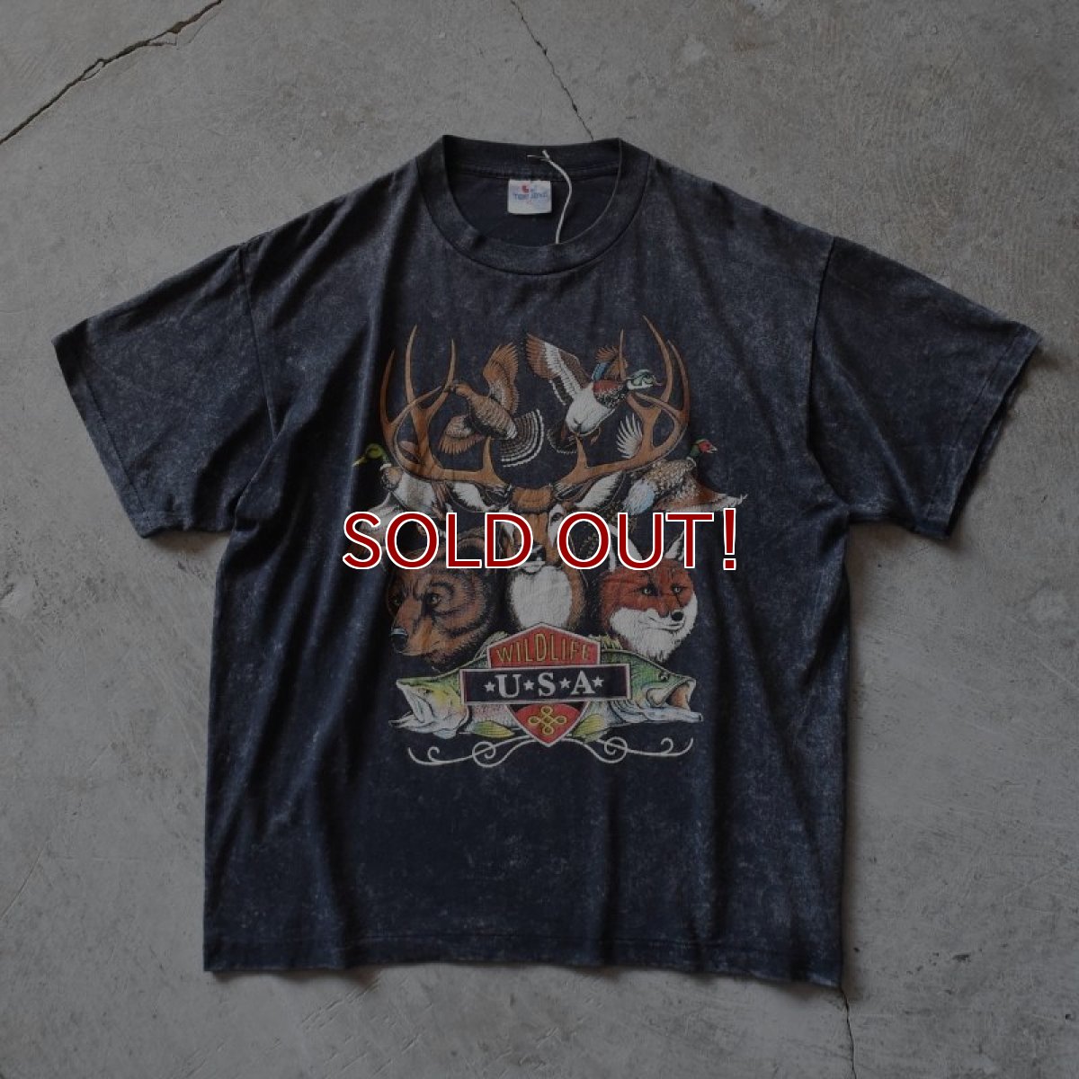 画像1: 1990s WILD LIFE USA アニマルTシャツ　 "MADE IN USA"　 表記XL  (1)