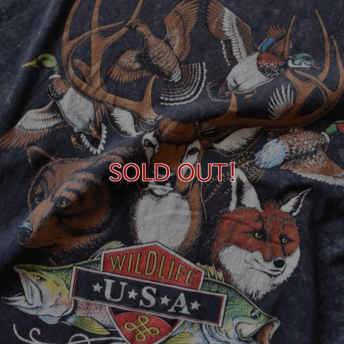 画像3: 1990s WILD LIFE USA アニマルTシャツ　 "MADE IN USA"　 表記XL  (3)
