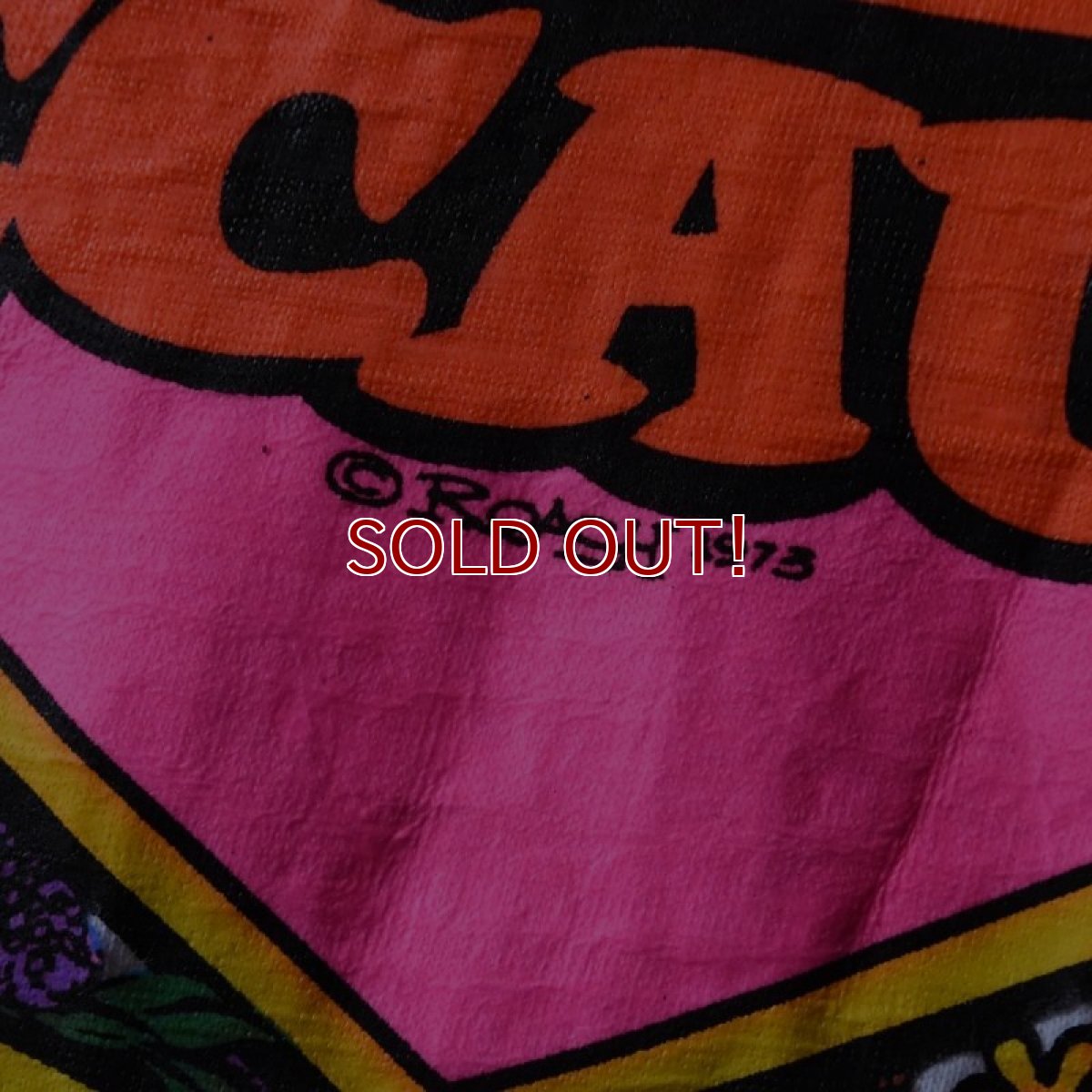 画像5: 1970s SEARS リンガーTシャツ　 表記L  (5)