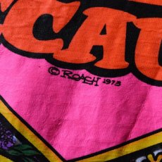 画像5: 1970s SEARS リンガーTシャツ　 表記L  (5)
