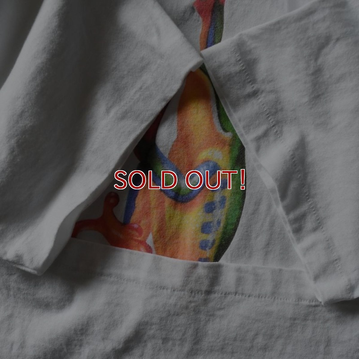 画像6: 1990s FROG アートTシャツ　 "MADE IN USA"　 表記XL  (6)