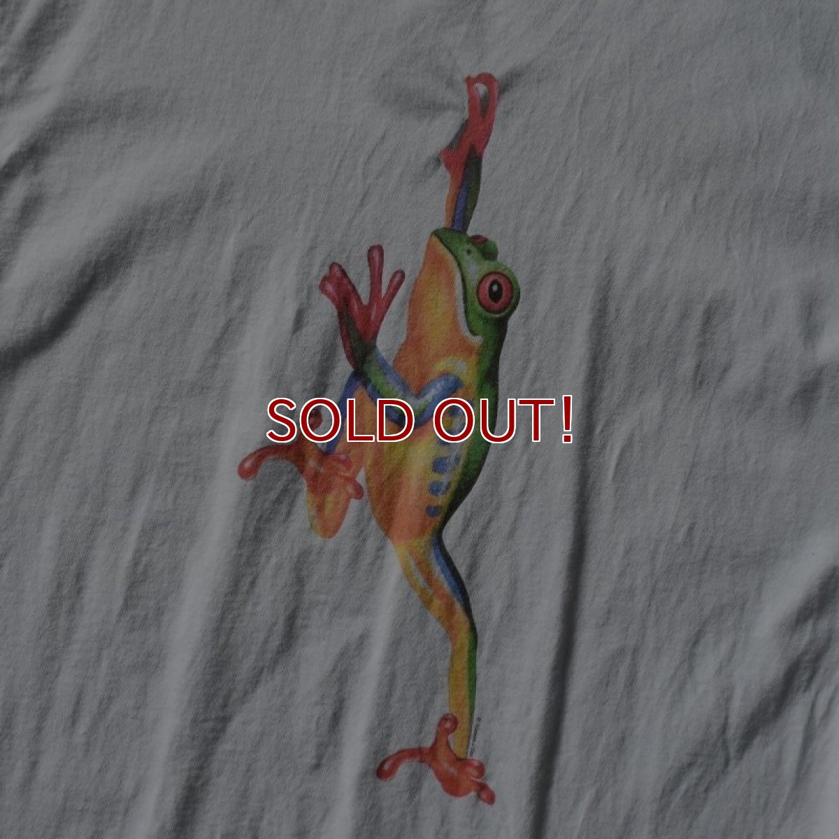画像4: 1990s FROG アートTシャツ　 "MADE IN USA"　 表記XL  (4)