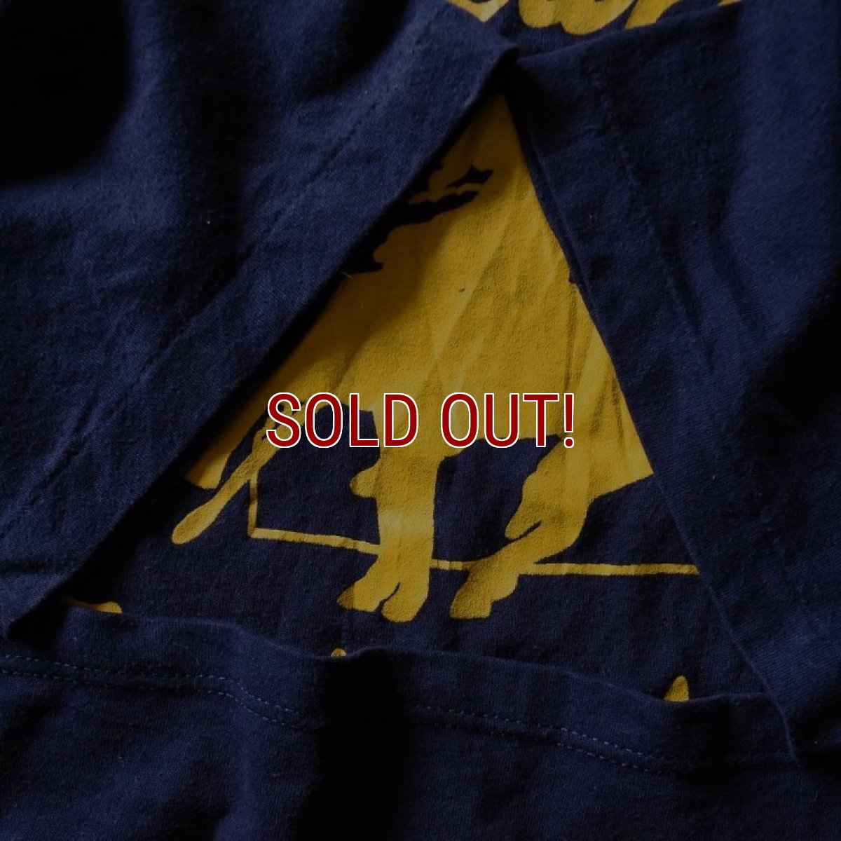 画像5: 1980-90s RUSSELL Conewago Trail Riders Tシャツ　 "MADE IN USA"　 表記XL  (5)