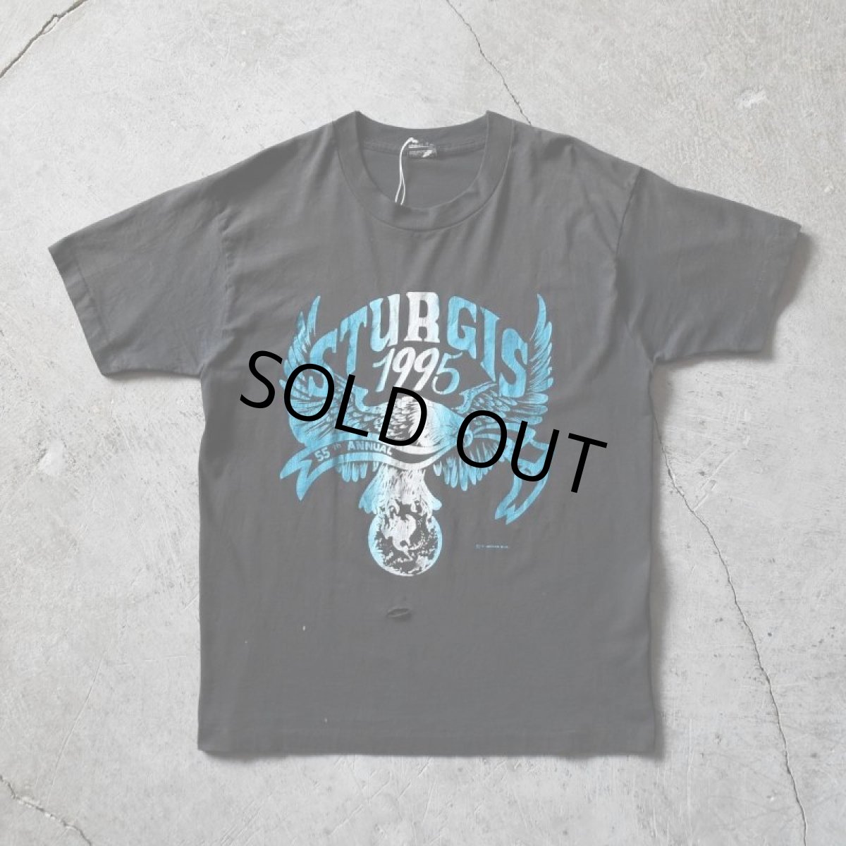 画像1: 1990s STURGIS BLACK HILLS RALLY 55th ANNUAL Tシャツ　 "MADE IN USA"　 表記L  (1)