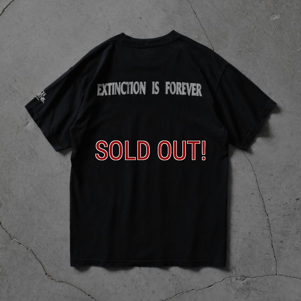 画像2: 1990s BUSCH GARDENS ライオンTシャツ　 "MADE IN USA"　 表記L  (2)