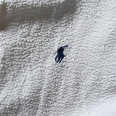 画像4: Ralph Lauren シアサッカーシャツ　 表記XL  (4)