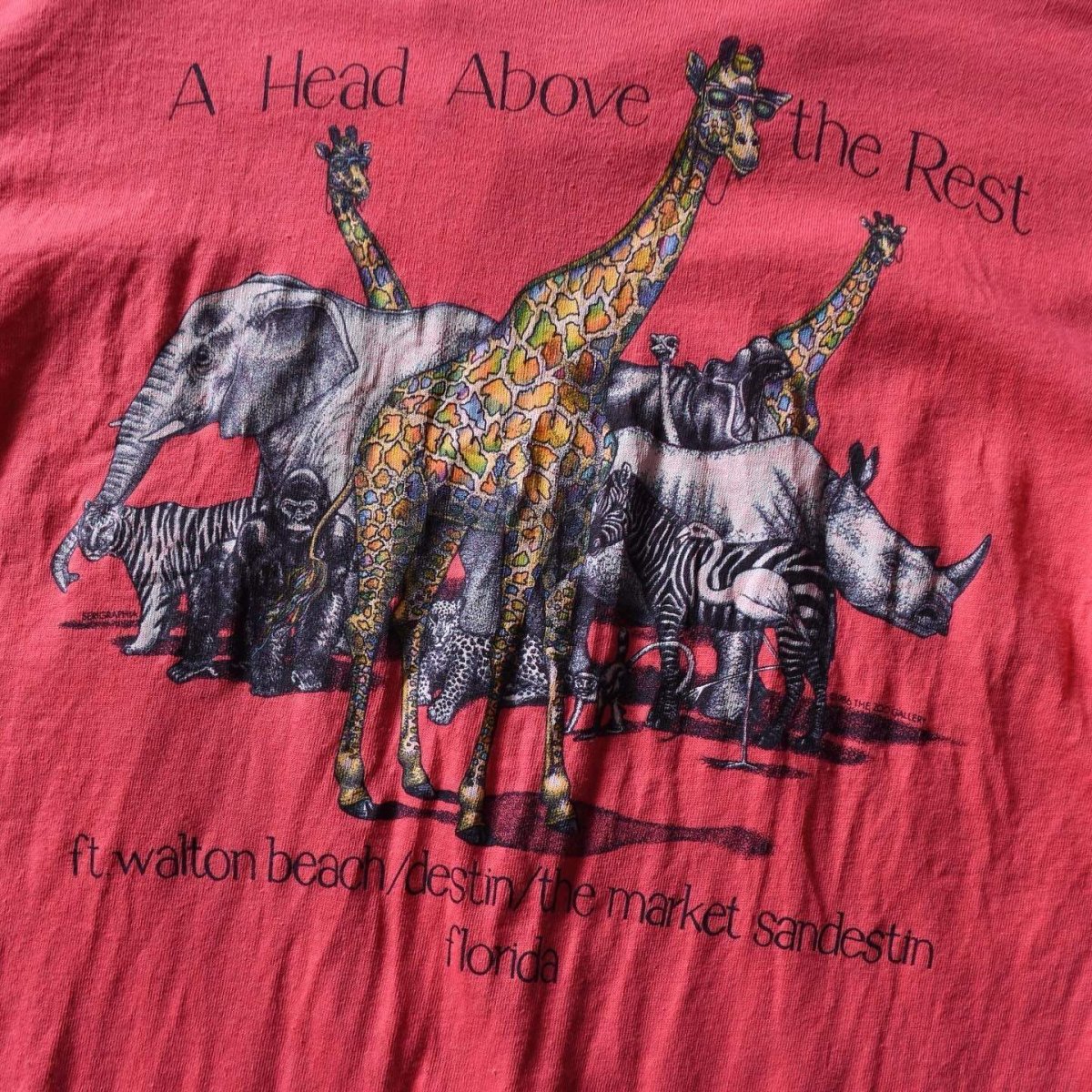 画像7: 1980s THE ZOO GALLERY アートTシャツ　 "MADE IN USA"　 表記L  (7)