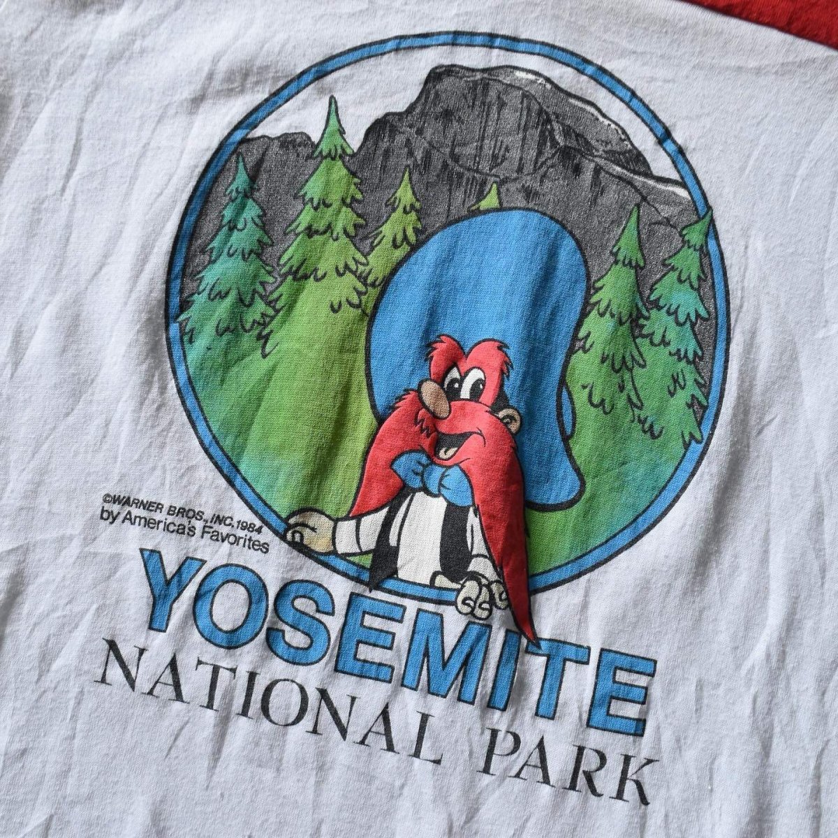 画像4: 1980s YOSEMITE フットボールTシャツ　 "MADE IN USA"　 表記S  (4)