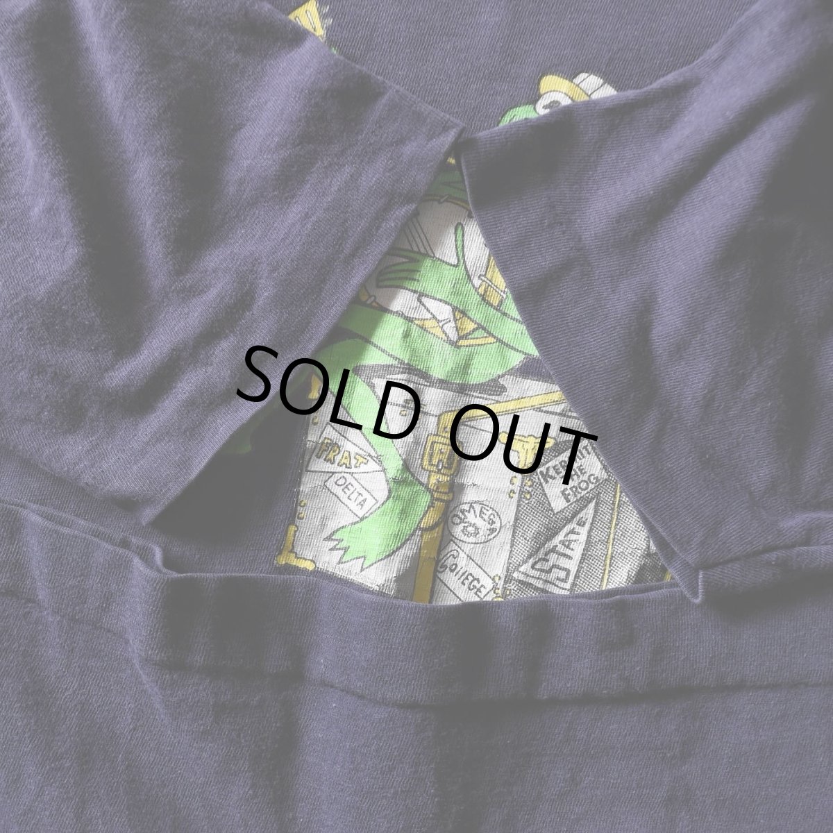 画像5: 1970s Champion カーミットTシャツ　 "MADE IN USA"　 表記L  (5)