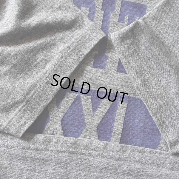 画像5: 1980s CAPITAL UNIVERSITY カレッジTシャツ　 "MADE IN USA"　 表記L 
