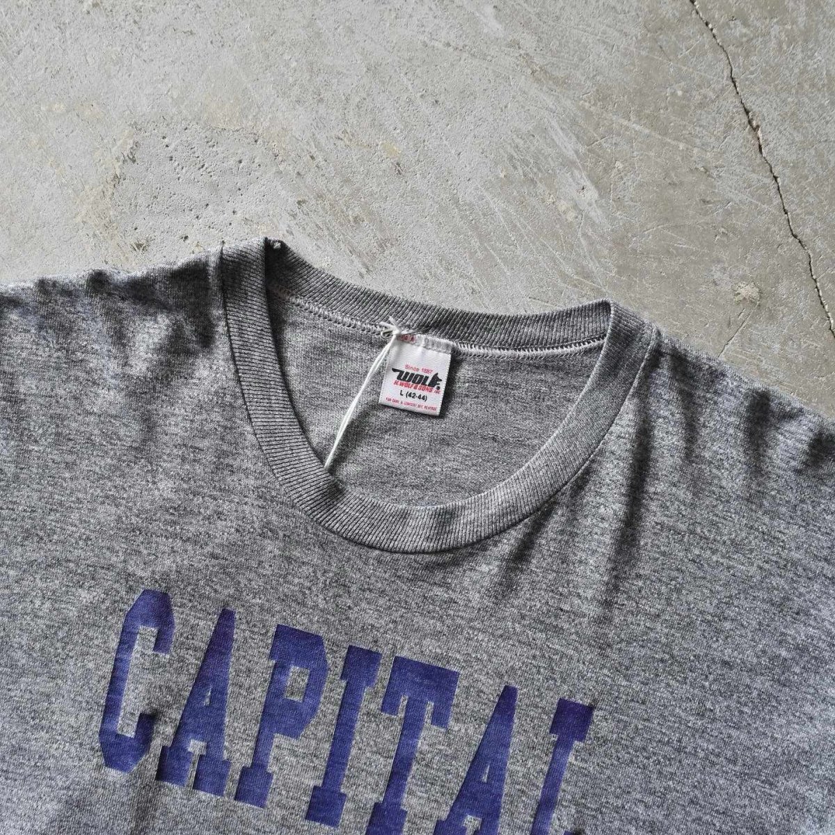 画像2: 1980s CAPITAL UNIVERSITY カレッジTシャツ　 "MADE IN USA"　 表記L  (2)