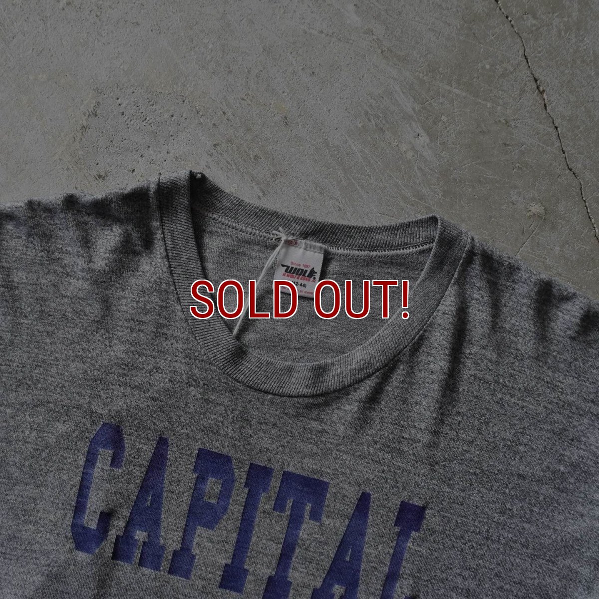 画像2: 1980s CAPITAL UNIVERSITY カレッジTシャツ　 "MADE IN USA"　 表記L  (2)