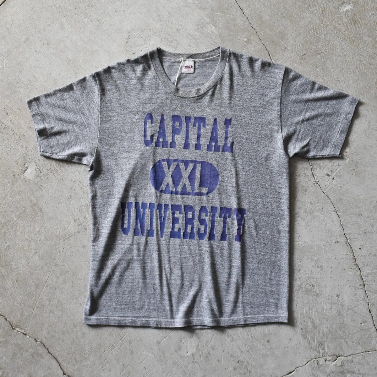 画像1: 1980s CAPITAL UNIVERSITY カレッジTシャツ　 "MADE IN USA"　 表記L  (1)