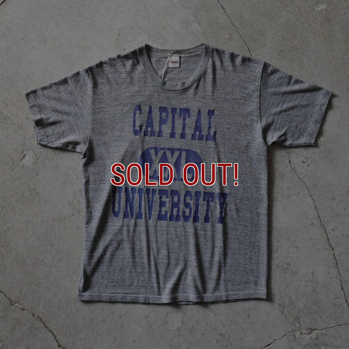 画像1: 1980s CAPITAL UNIVERSITY カレッジTシャツ　 "MADE IN USA"　 表記L  (1)
