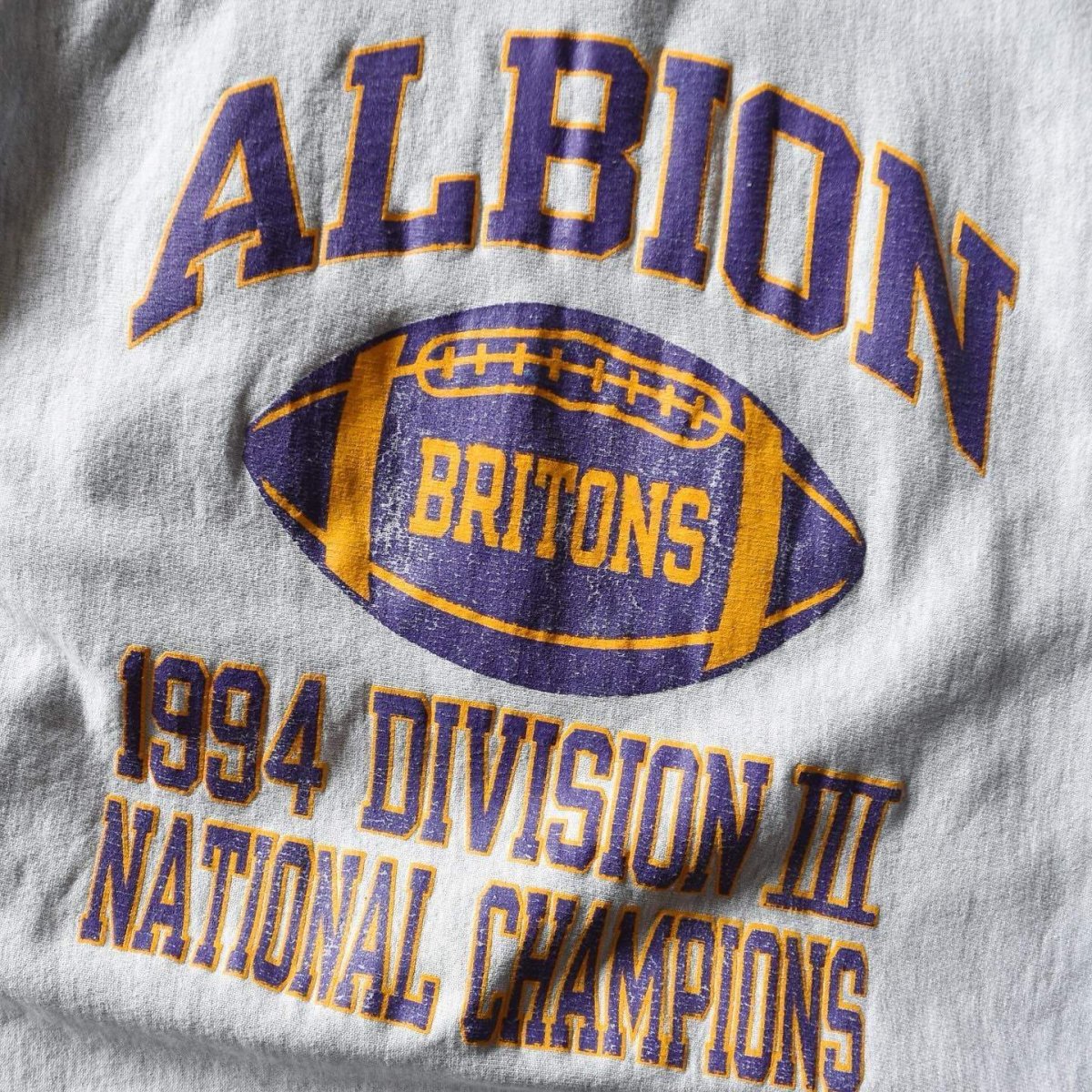 画像4: 1990s Champion リバースウィーブスウェット　 "ALBION BRITONS"　 表記XXXL  (4)