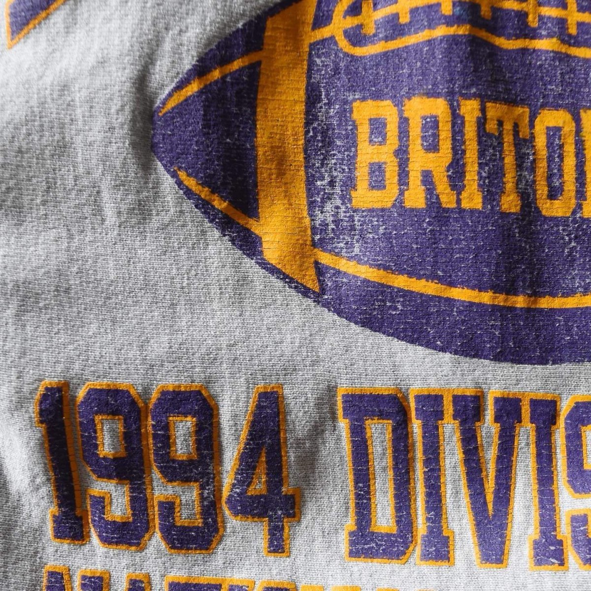画像5: 1990s Champion リバースウィーブスウェット　 "ALBION BRITONS"　 表記XXXL  (5)
