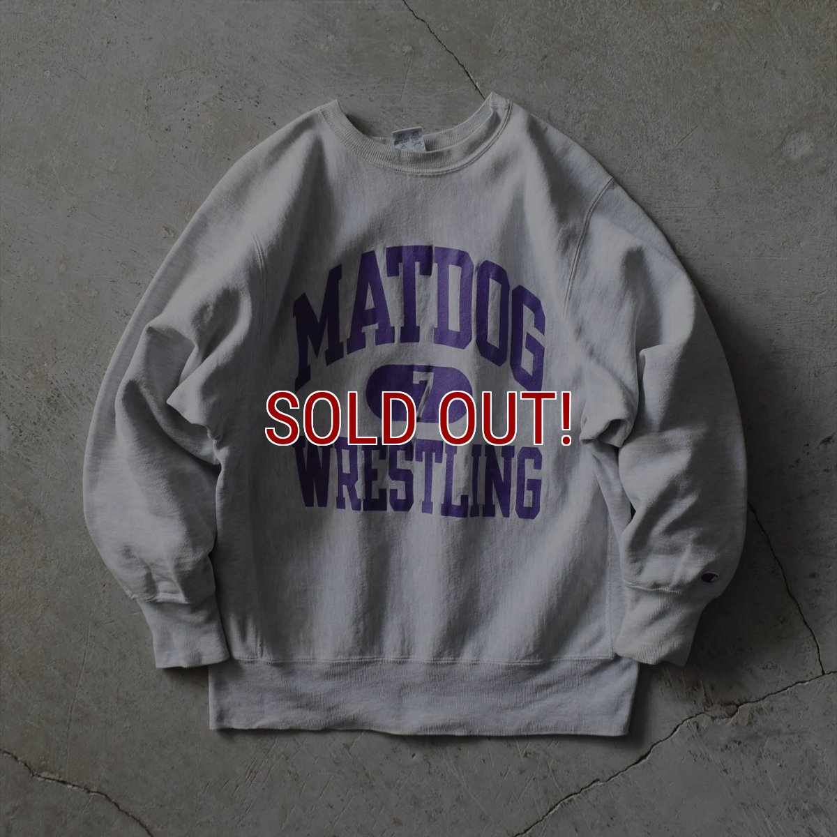 画像1: 1990s Champion リバースウィーブスウェット　 "MATDOG WRESTLING"　 表記L  (1)