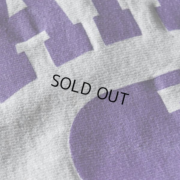 画像5: 1990s Champion リバースウィーブスウェット　 "MATDOG WRESTLING"　 表記L 