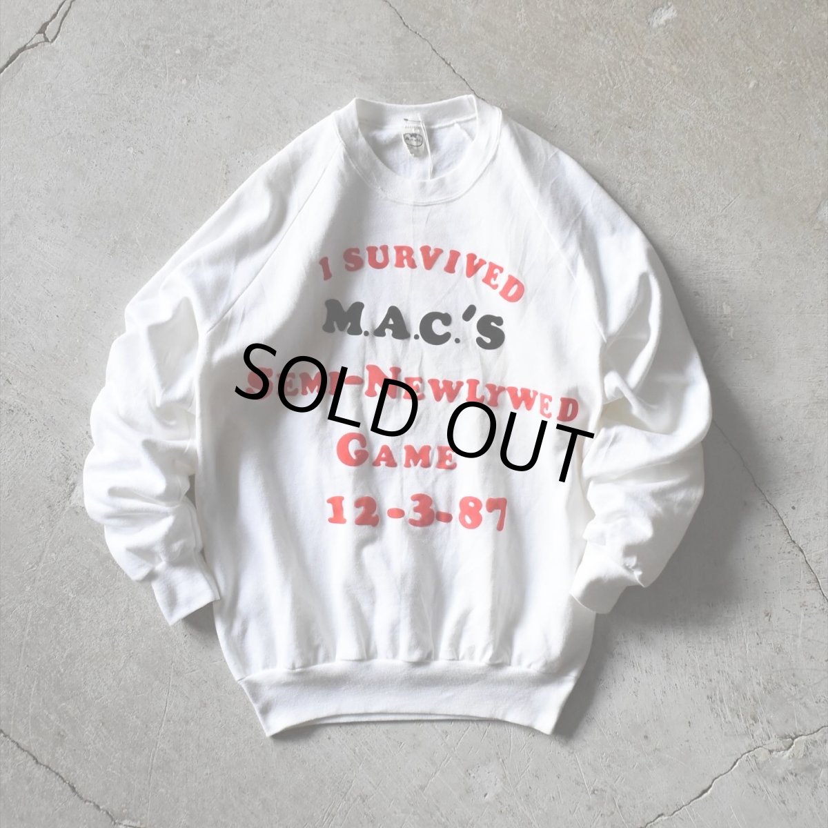 画像1: 1980s ANVIL フロッキースウェット　 "MADE IN USA"　 表記XL  (1)