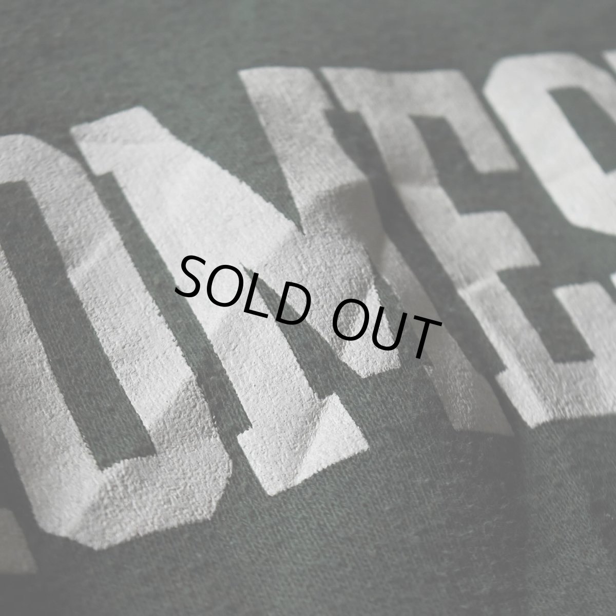 画像5: 1980s DISCUS カレッジパーカー　 "MADE IN USA"　 表記M  (5)