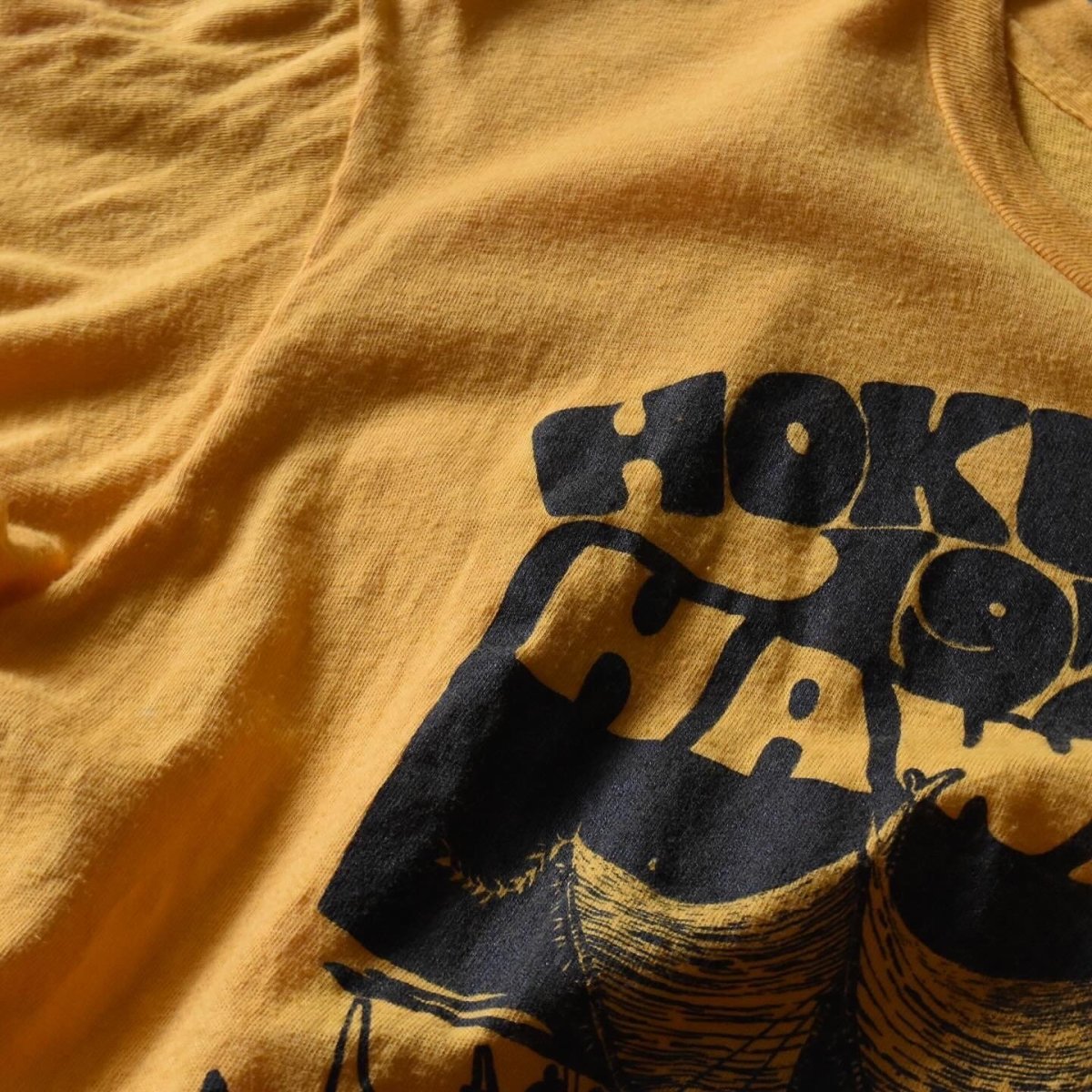 画像5: 1970s Hanes HOKULE'A 1977 Tシャツ　 "MADE IN USA"　 表記L  (5)