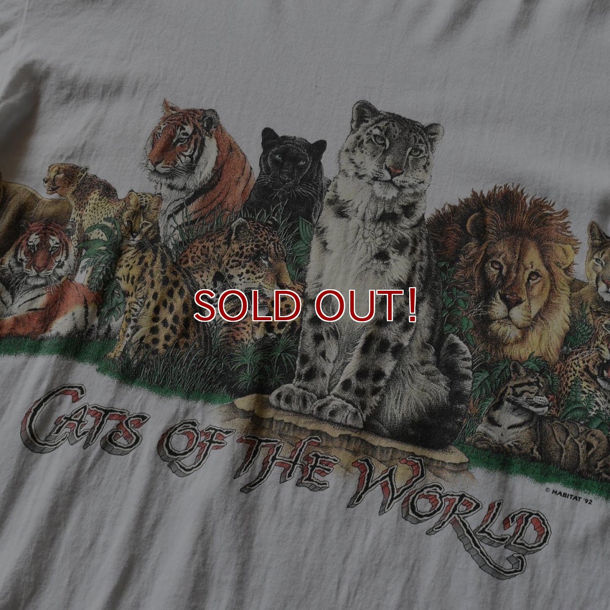 画像5: 1990s CATS OF THE WORLD Tシャツ　 "MADE IN USA"　 表記XL  (5)