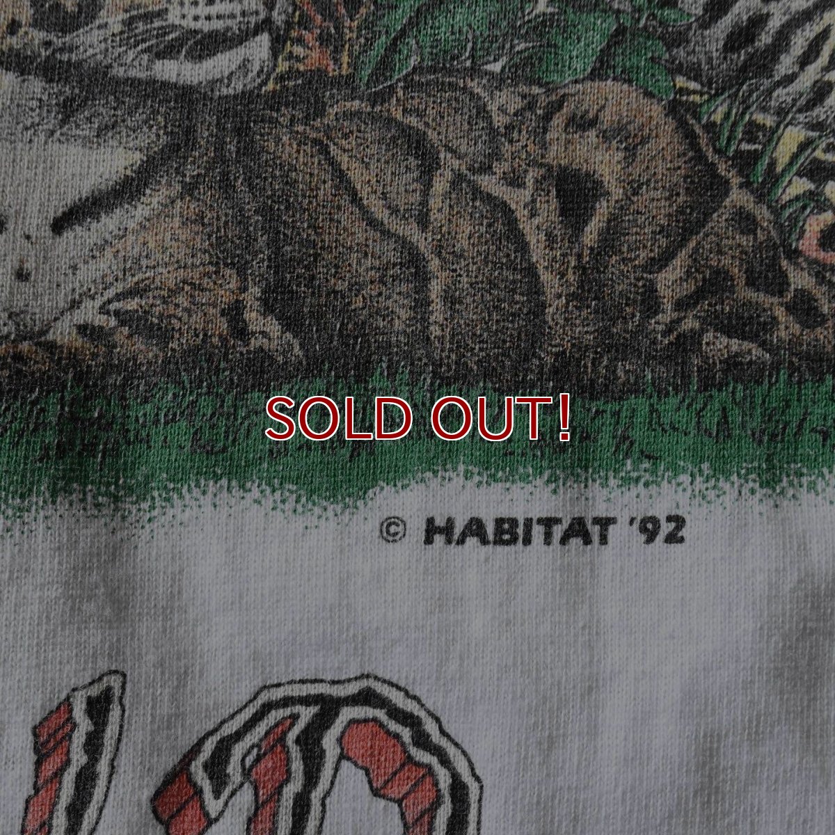 画像6: 1990s CATS OF THE WORLD Tシャツ　 "MADE IN USA"　 表記XL  (6)