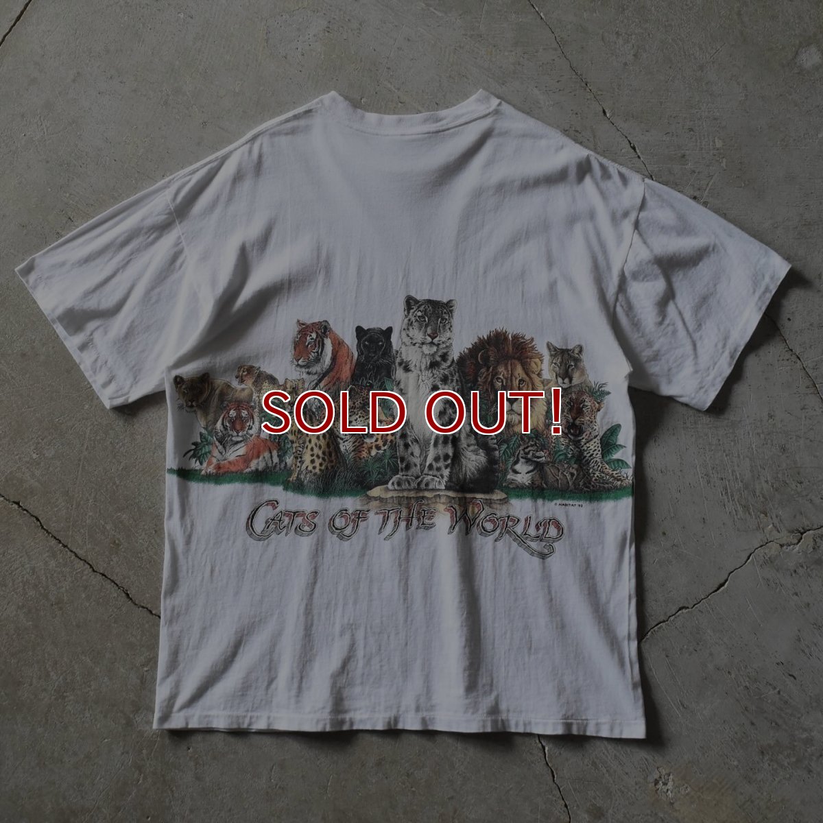 画像2: 1990s CATS OF THE WORLD Tシャツ　 "MADE IN USA"　 表記XL  (2)