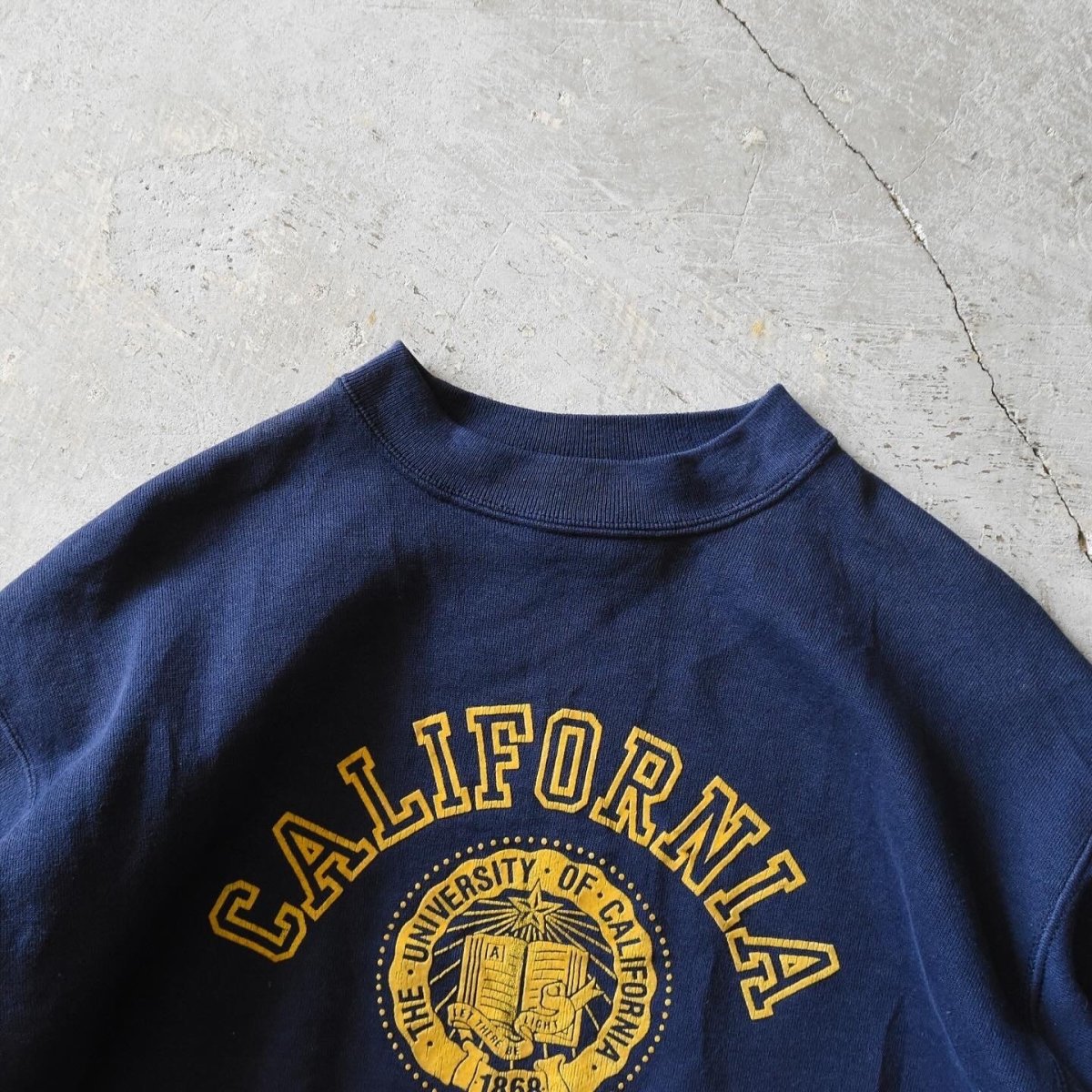 画像3: 1980s UC Berkeley フロッキースウェット　 "MADE IN USA"　 表記M  (3)