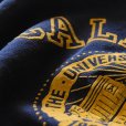 画像5: 1980s UC Berkeley フロッキースウェット　<br>"MADE IN USA"　<br>表記M<br> (5)