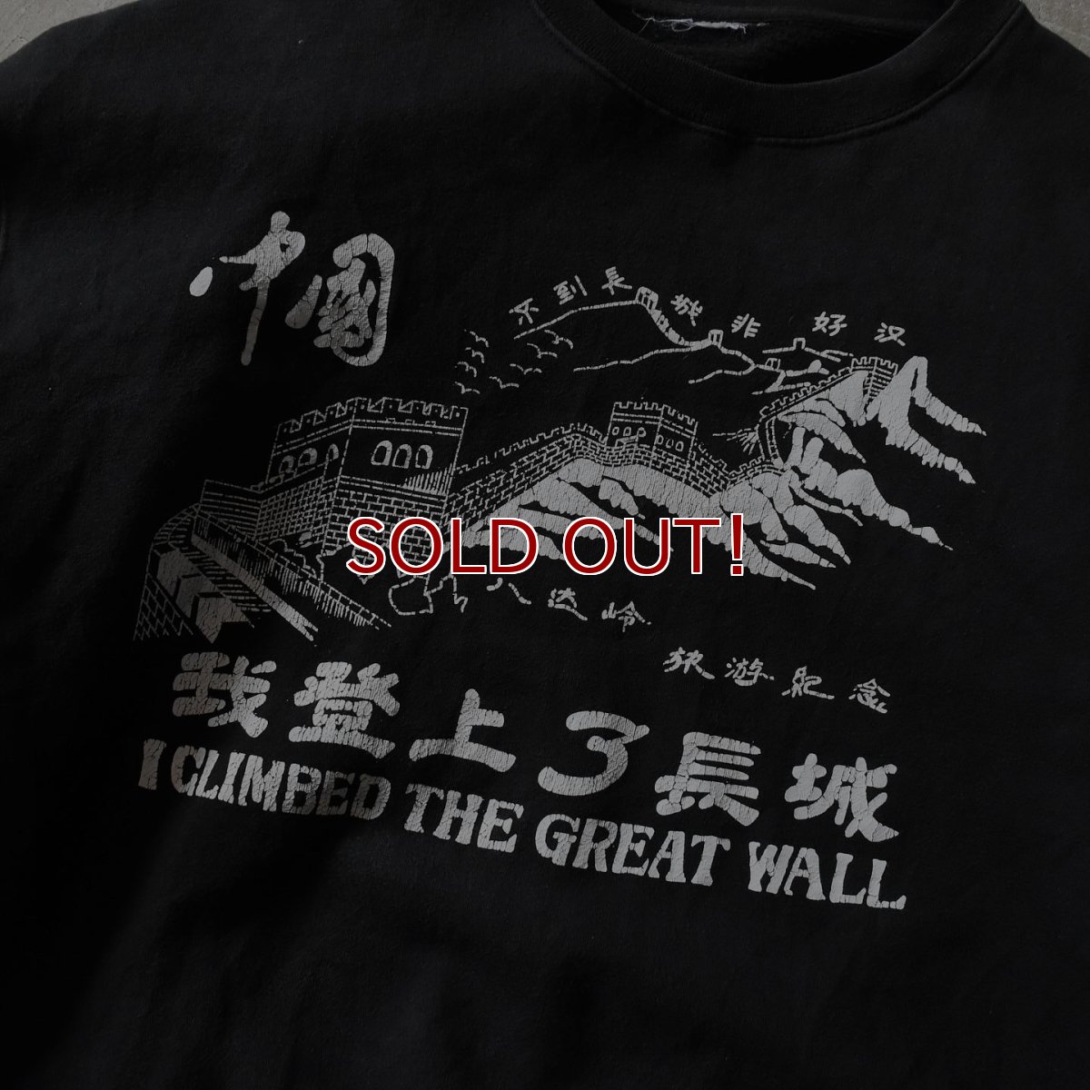 画像4: 中国万里の長城スウェット　 実寸L-XL  (4)