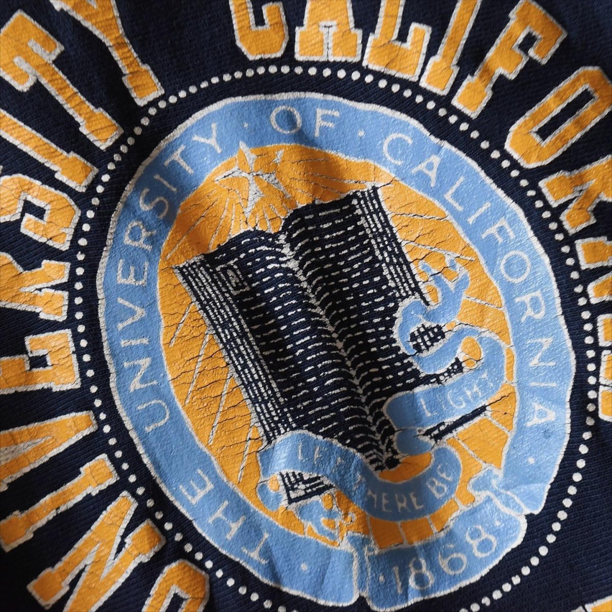画像5: 1980s Champion リバースウィーブスウェット　 "UNIVERSITY OF CALIFORNIA IRVINE"　 表記L  (5)