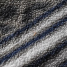 画像10: 1990s Patagonia サルティーヨ柄シンチラフリーススナップT　 "MADE IN USA"　 表記L  (10)