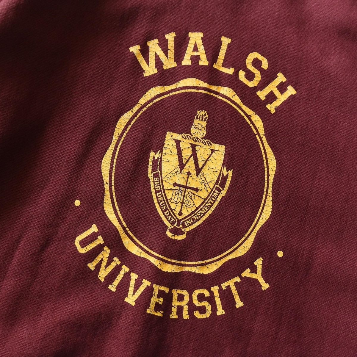画像5: 2000s Champion リバースウィーブスウェット　 "WALSH UNIVERSITY"　 表記XL  (5)