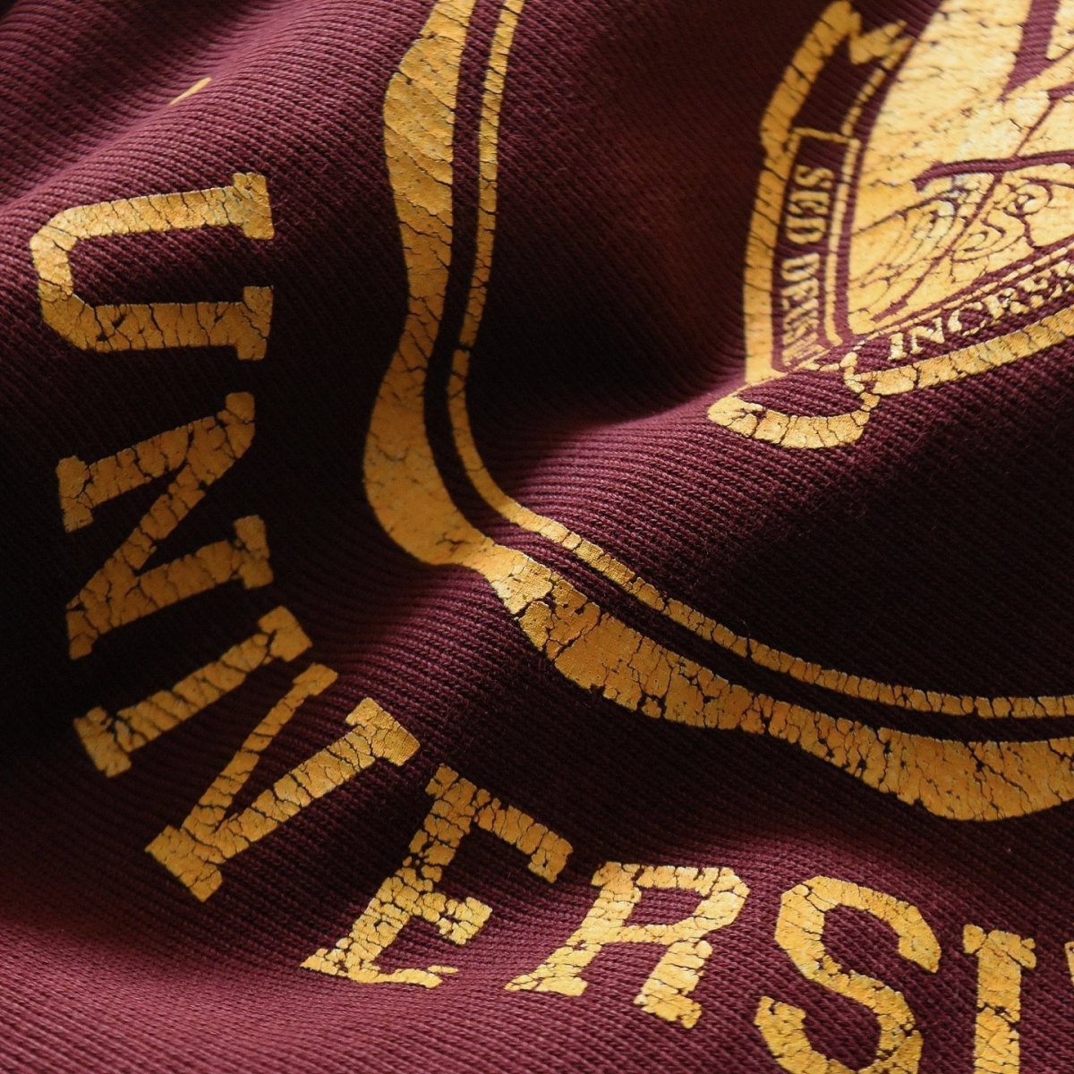 画像6: 2000s Champion リバースウィーブスウェット　 "WALSH UNIVERSITY"　 表記XL  (6)