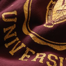 画像6: 2000s Champion リバースウィーブスウェット　 "WALSH UNIVERSITY"　 表記XL  (6)