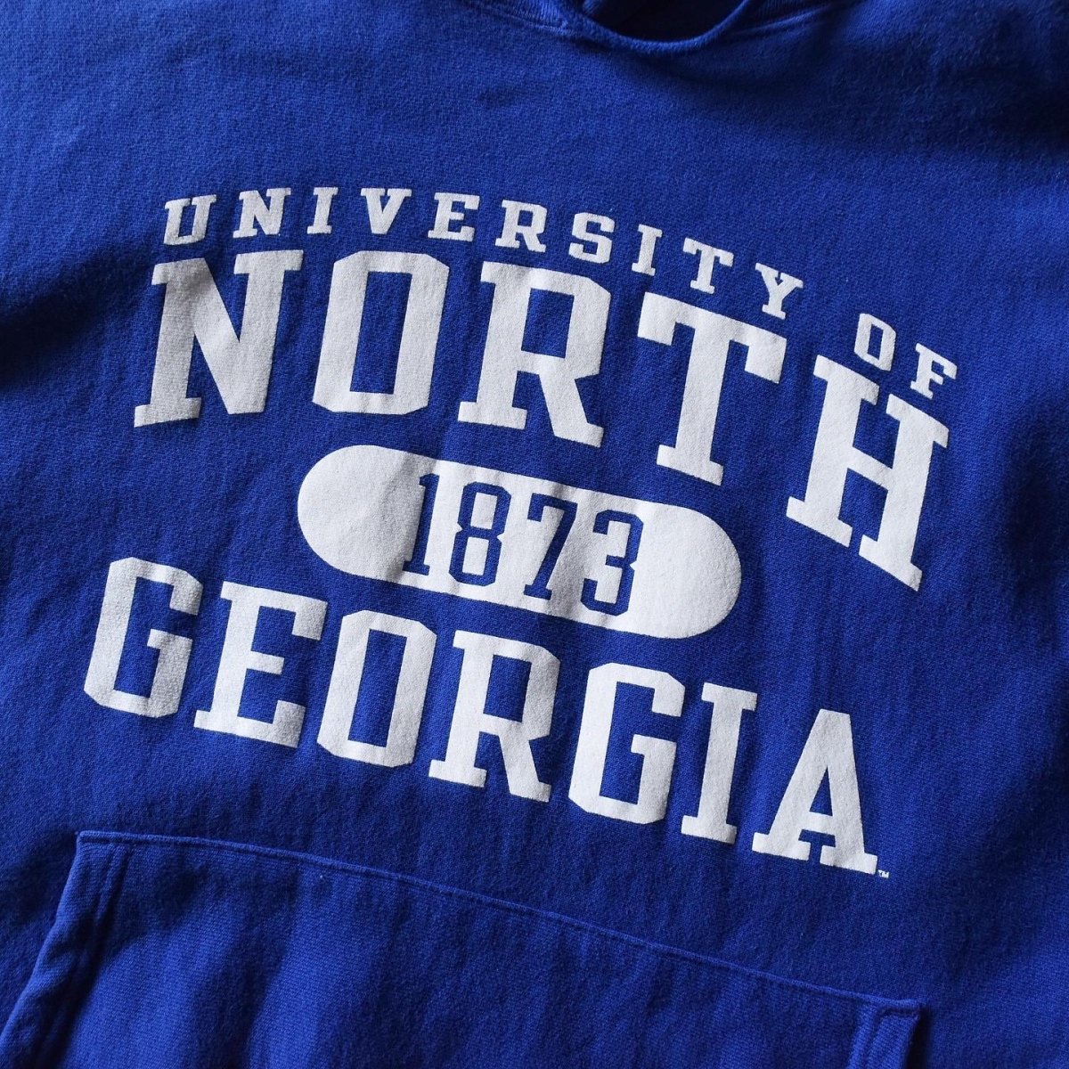 画像6: Champion リバースウィーブパーカー　 "UNIVERSITY OF NORTH GEORGIA"　 表記L  (6)