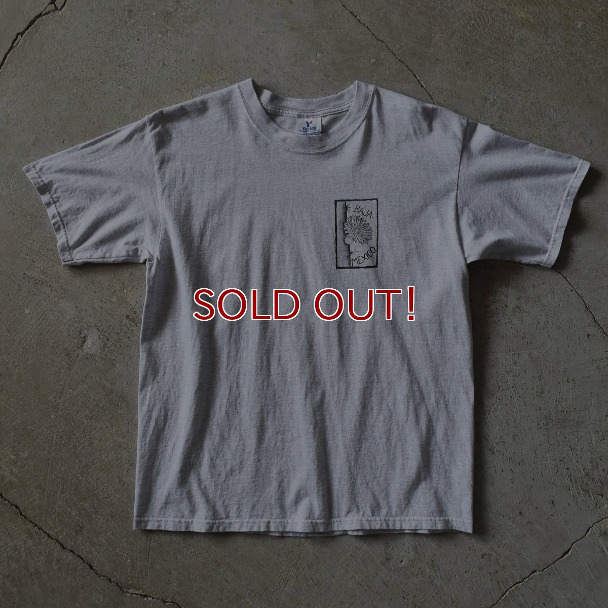 画像2: 2000s EL CARDON CACTUS サボテンTシャツ　 "MADE IN MEXICO"　 表記L  (2)