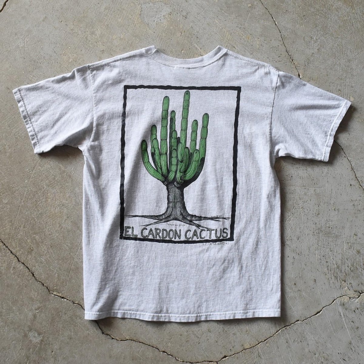 画像1: 2000s EL CARDON CACTUS サボテンTシャツ　 "MADE IN MEXICO"　 表記L  (1)